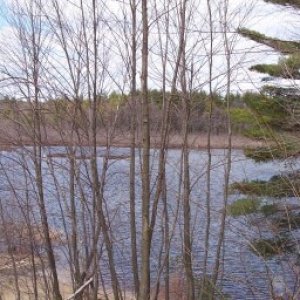 sudbury_lake_view