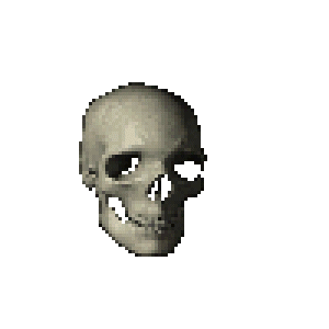 skull